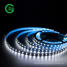 SMD5050 60LED LED Strip DC12 Non-Waterproof Strip with CE Certificate